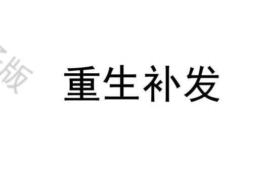 重生補發