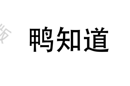 鴨知道